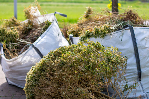 Recycling Services for Junk in Pine Canyon, CA